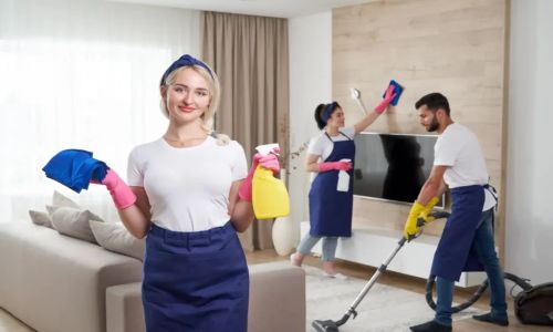 خدمة تنظيف البيوت بالقويعية والرين