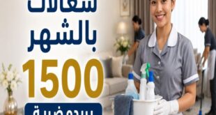 شغالات بالشهر 1500 بريده ضرية