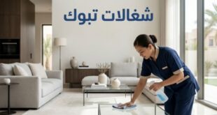شغالات تبوك